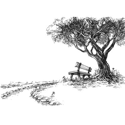 Draw a Tree and Bench Picture