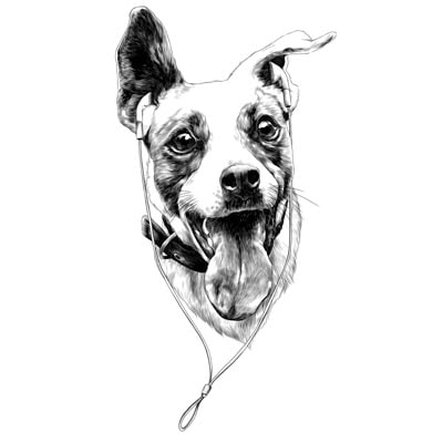 Draw a Dog Picture