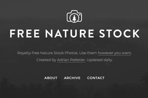 Free Nature Stock Picture