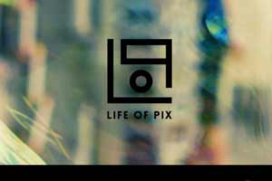 Life of Pic Link Picture