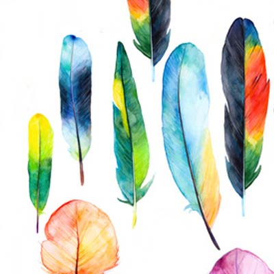 Paint Feathers Picture