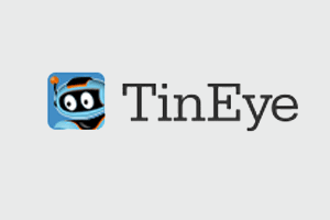Tin Eye Link Picture