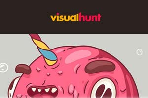 Visual Hunt Logo Picture
