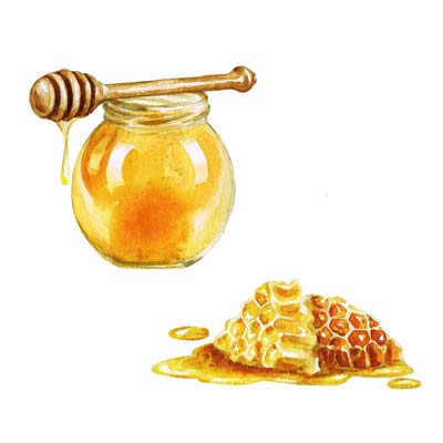 Paint Honey Pot Picture