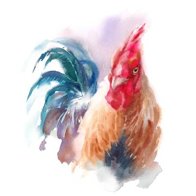 Paint a Rooster Picture