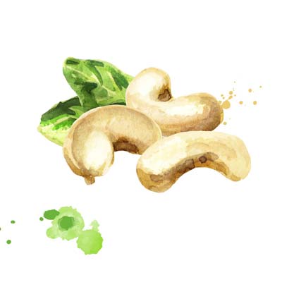 Paint Cashew Nuts Picture