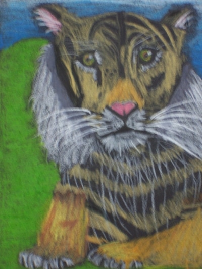 Coloured Pencil 3 by Emily Age 8
