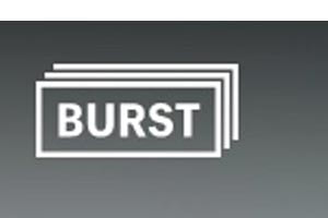 Burst Logo Picture