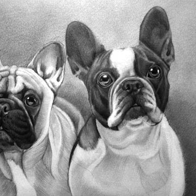 Draw Dogs Picture