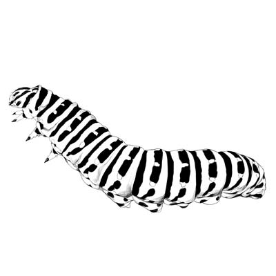 Draw a Caterpillar Picture