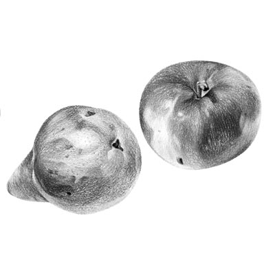 Draw Apple Pear Picture