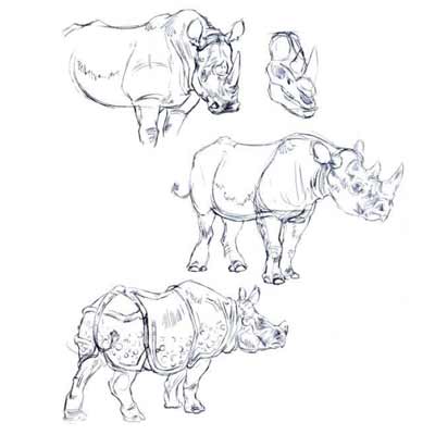 Draw a Rhino Picture