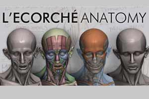 Anatomy App Link Picture