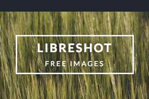 Libreshot Logo Picture
