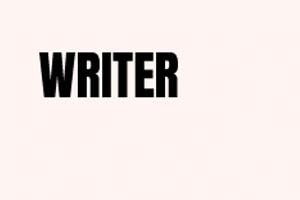 Picture Writer Logo
