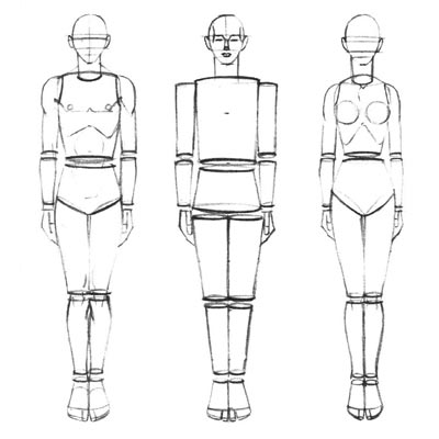 Draw Body Proportions Picture