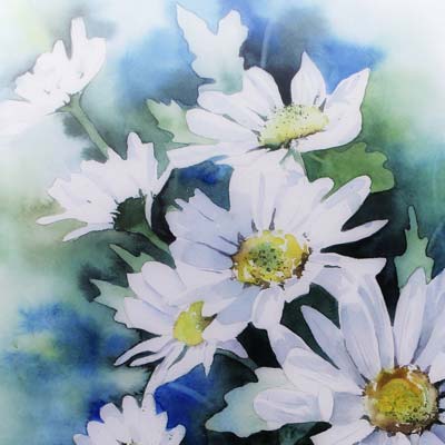 Picture White Daisies