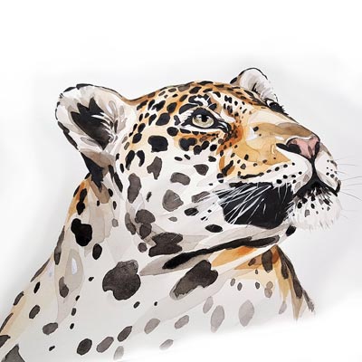 Paint a Leopard Picture