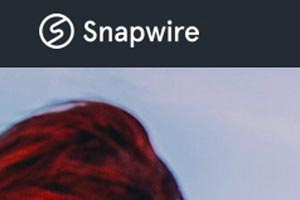 Snap Wire Picture