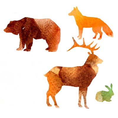 Picture Animal Watercolour