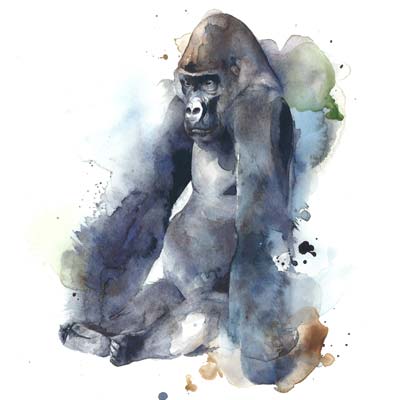Gorilla Painting Picture