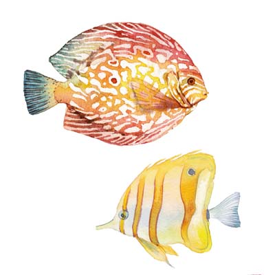 Paint Tropical Fish Picture
