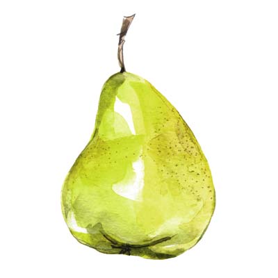 Paint a Pear Picture