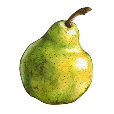 Paint a Pear Picture
