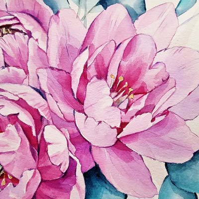 Paint More Peonies Picture