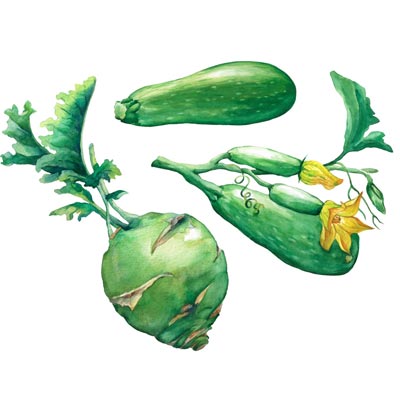 Paint Zucchini Picture
