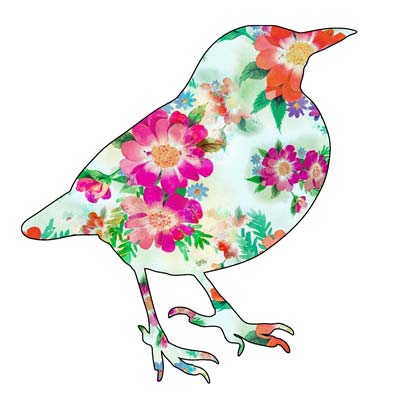 Paint Bird Illustration Picture