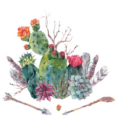 Paint Cactus Picture