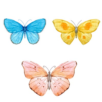 Paint Butterflies 3 Picture