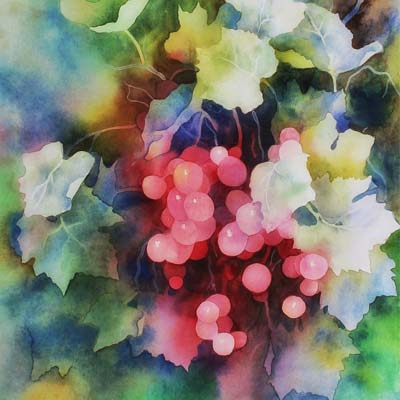Watercolour Grapes Picture