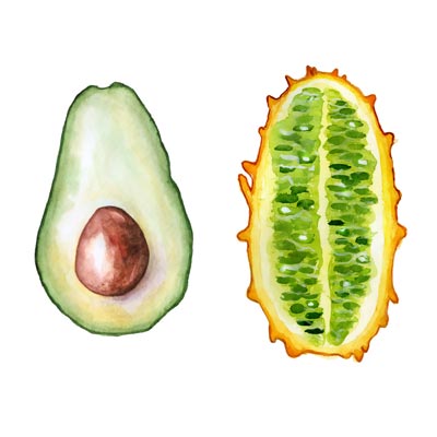 Paint Avocado Picture