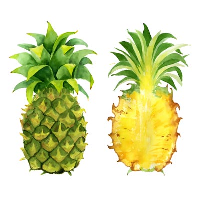 Paint a Pineapple Picture